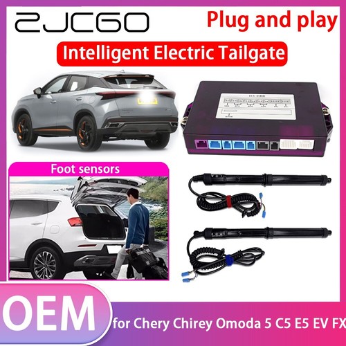 Car electric tail gate lift - electric,