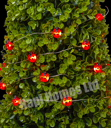Solar power insect lights bugs - solar,