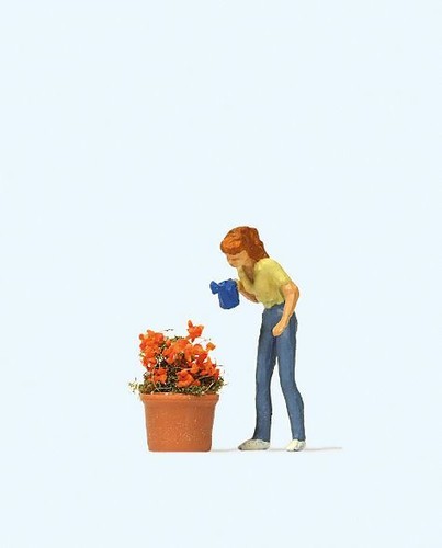 Watering the flowers oo - watering,