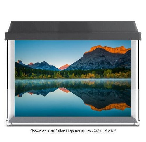 Reflective mountain lake fish - mountain,