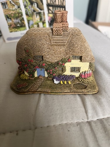 Lilliputian lane mums - lilliputian,