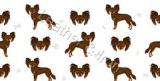 New Russian Toy Terrier Brown