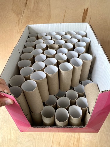Empty toilet tubes - tubes, loo