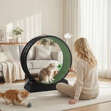 Cat Exercise Wheel Large Cat