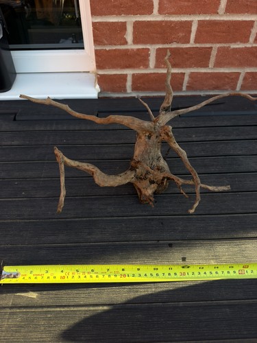Aquarium spider wood - spider, root