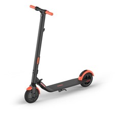 SEGWAY Electric Scooter