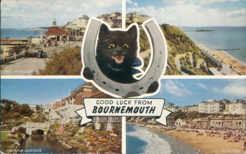 Bournemouth views salmon - bournemouth;,