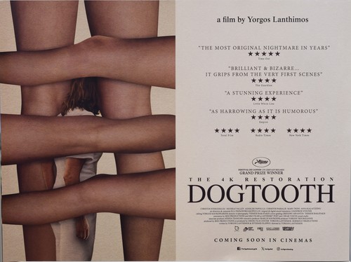 Dogtooth restoration uk - restoration,