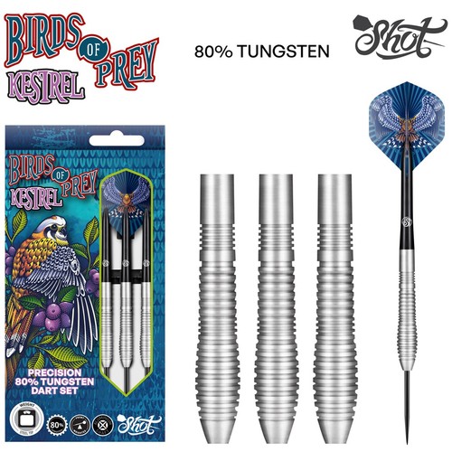 Birds prey kestrel steel - birds, of