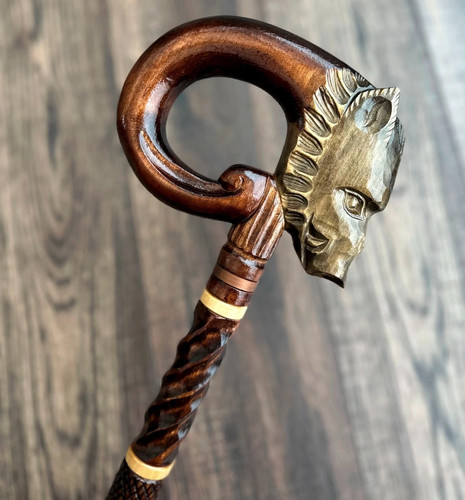 Wild boar walking stick hand - walking,