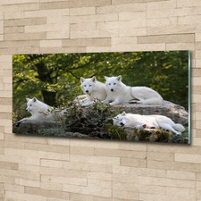 Glass Print Wall Art Image