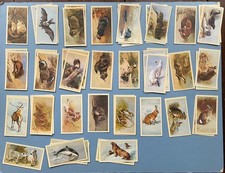 Grandee Cigar Cards BRITISH MAMMALS 65 Cards job lot. Missing No's 9/23/28