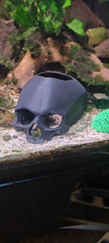 Aquarium skull decoration - aquarium,
