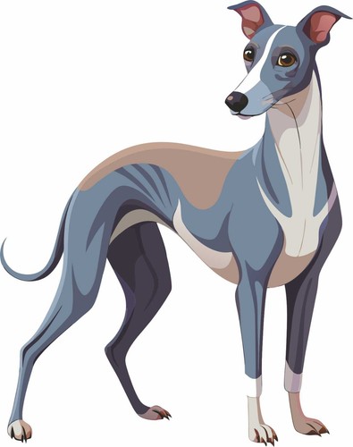 Whippet dog sticker - ,, brown