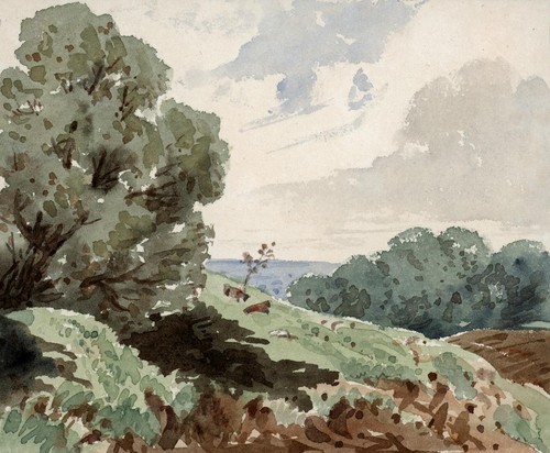 Trees landscape small - trees,