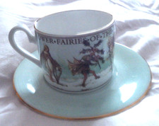 FLOWER FAIRIES OF THE WINTER