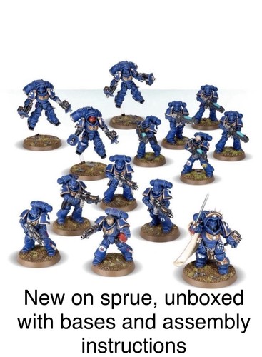 Primaris space marine dark - space,