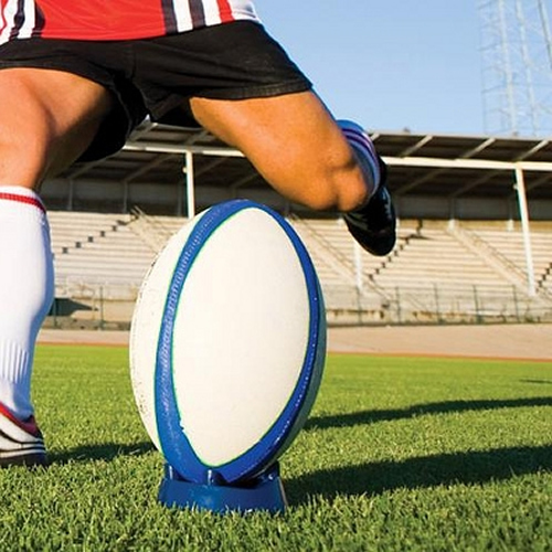 20kg prosports grass seed mix - grass,