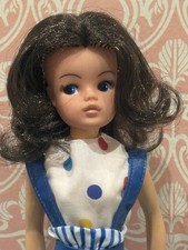 Vintage Pedigree 1980s Active