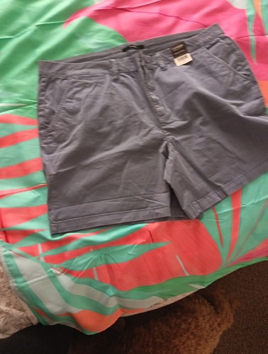 Ladies grey shorts - ladies,