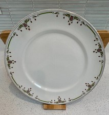 Vtg Alfred Meakin Berkley Art