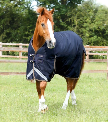 Premier equine titan 100g - titan,