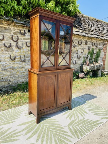 Dwarf antique mahogany - dwarf,