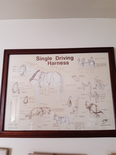 Vintage large framed - vintage,