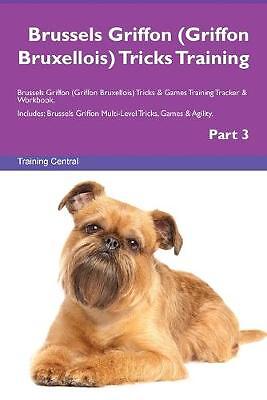 Brussels griffon - brussels,