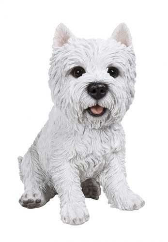 West highland westie - west,