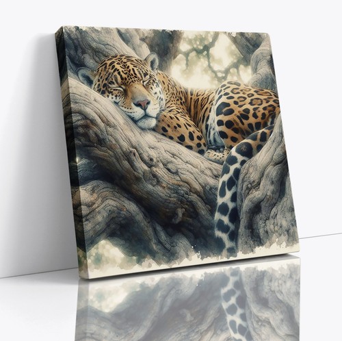 Leopard big cat - big,