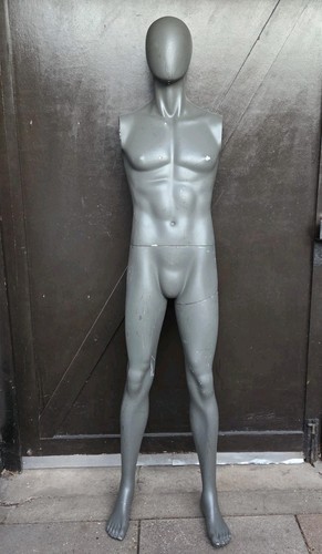 Full size male fibreglass shop - male,