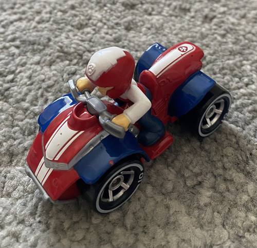 Paw patrol spin - patrol, master