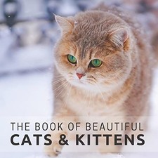 Pretty Pine Press The Book of
