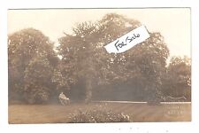 RP Monkey Tree Topiary Lawn Garden Embossed E P Short 35 Derby Road Nottingham