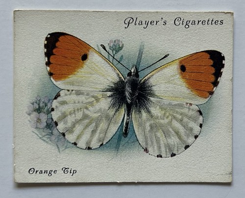 Player cigarettes british - player’s,