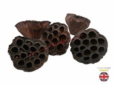 Xmas Dried Fruit Wreath