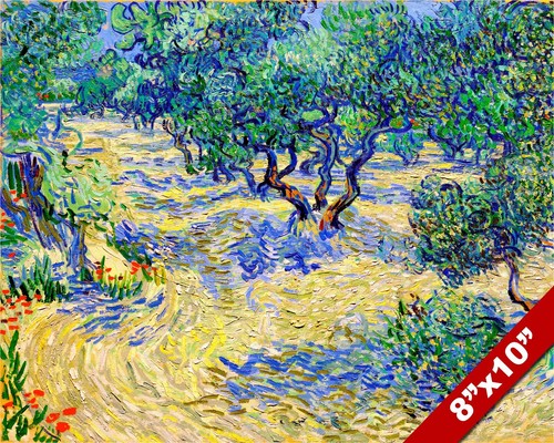 Vincent van gogh - van, olive