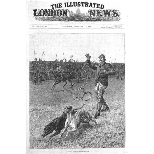 Dog coursing slipping - dog,