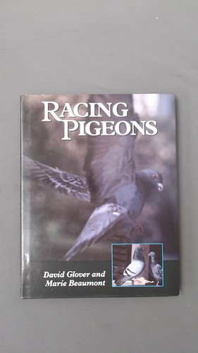 Racing pigeons glover - pigeons,, glover,