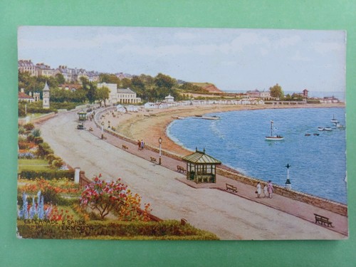 Post card salmon 4312 - salmon,,