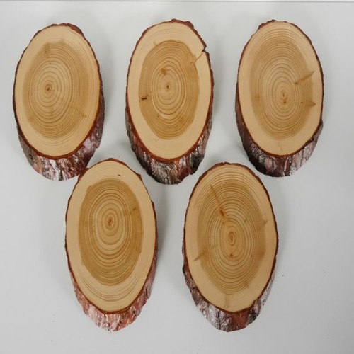 Larch signs trophy deer - larch,