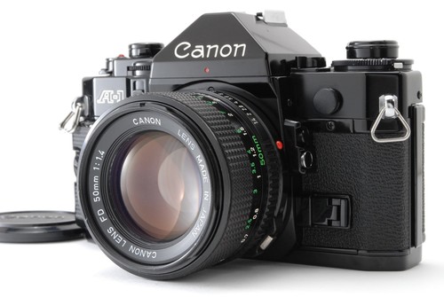 Mint cla d canon - 【n, mint+++