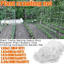 Plant Support Netting Fruit