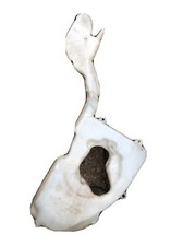 MINI Screenwash Bottle Tank