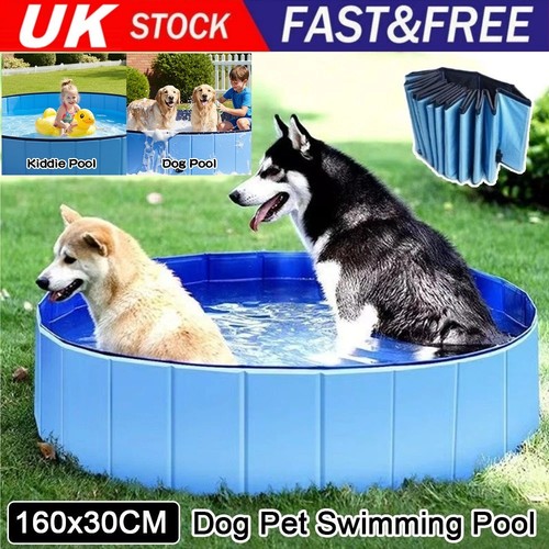 Dog pet swimming pool - dog,