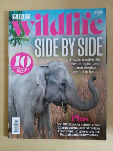 Bbc wildlife october 2023 - wildlife,