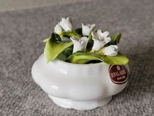 FLOWER of the MONTH Mini