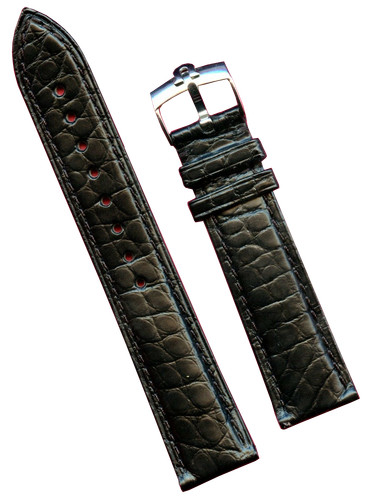 Genuine alligator black - alligator, strap