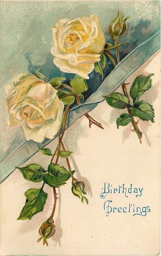 Yellow roses tucked lime - yellow,